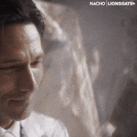 Wedding Love GIF by LIONSGATE+