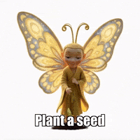 GIF by BuddhaFlyJourney
