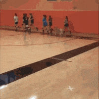 cute good boy GIF