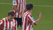 GIF by FOX Sports
