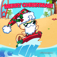 Merry Christmas Cat GIF by Mino Games