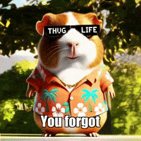 Sun Peace GIF by Guinea Gambino