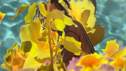 Visualizer GIF by Trippie Redd