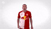 Lets Go Make Noise GIF by FC Red Bull Salzburg
