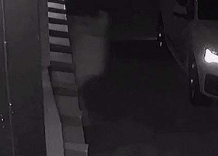 a0562ab096a24a46aad04ced9ce4af05 giphyupload GIF