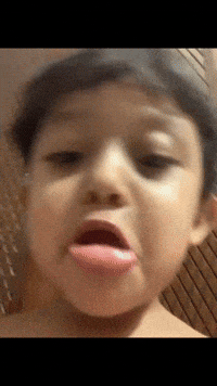 Ban Bangladesh GIF