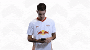 Dominik Szoboszlai Omg GIF by RB Leipzig