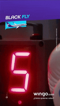 GIF by Wingo