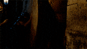 GIF by Game of Thrones
