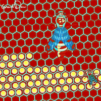 bees psychedelic art GIF by Grande Dame