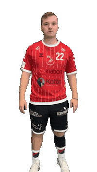 Handball Handbold Sticker by SGBB