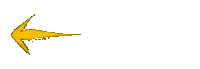 Arrows Speedlight Sticker