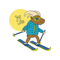 Sport Ski Sticker
