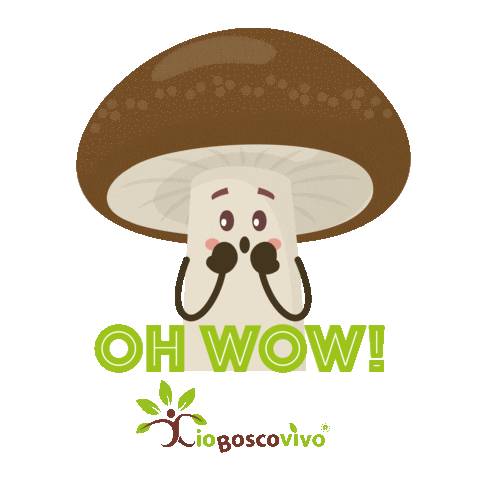 _ioboscovivo_ giphyupload wow omg surprise Sticker
