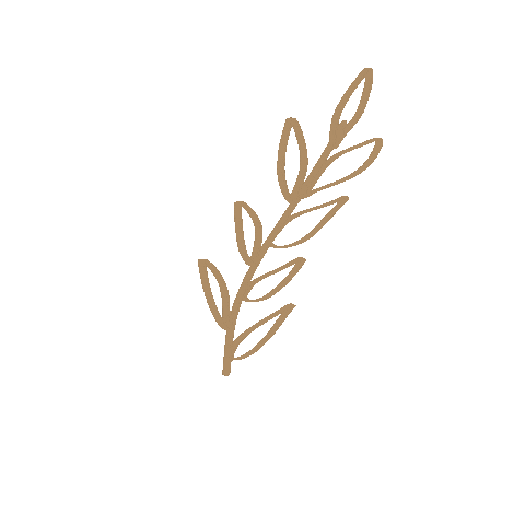 bellaqsboutique minimal simple leaf leaves Sticker