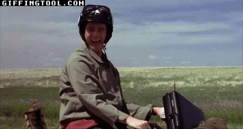 giphyupload GIF