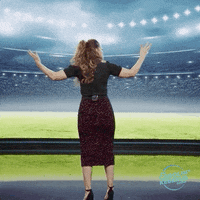 DCKS soccer fussball stadion dcks GIF