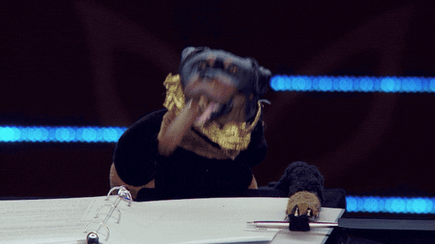 Fox GIF by The Masked Singer