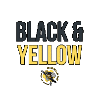 Richlandpestbee black yellow bee pittsburgh Sticker