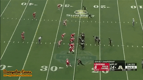 SchaufDS giphygifmaker GIF