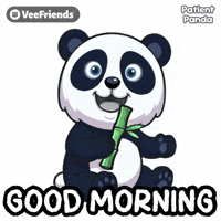 Good Morning Panda GIF by VeeFriends