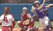 Softball Sara GIF by JMUDukes