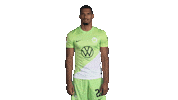 Germany Applause Sticker by VfL Wolfsburg