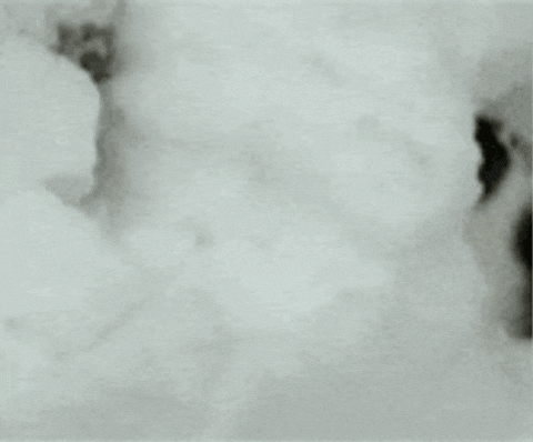 aleoxth giphygifmaker GIF