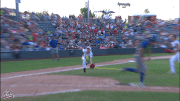 National Pro Fastpitch Softball GIF by USSSA Pride