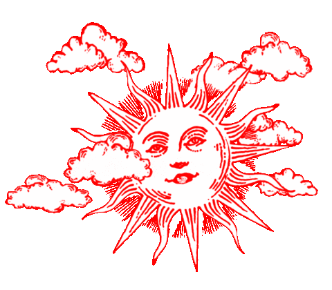stellamccartney giphyupload sun 2001 hopeful Sticker