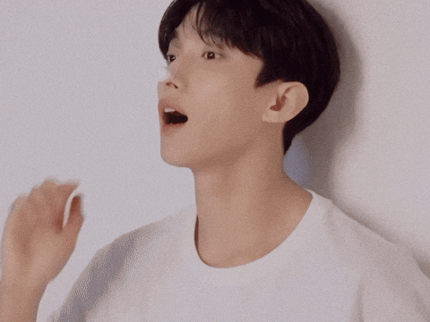 Dk 세븐틴 GIF
