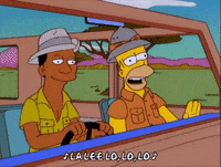 homer simpson GIF