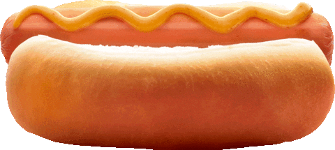 hot dog comida GIF by Schneck
