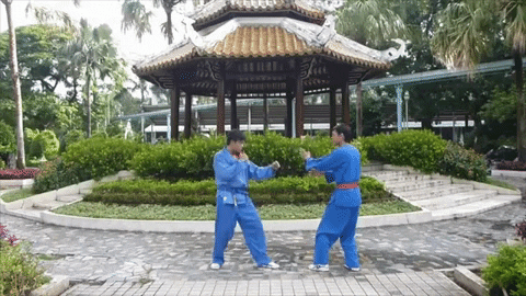 vovinamkhaitm giphygifmaker GIF