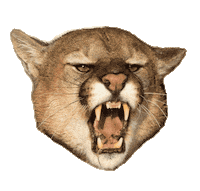 Houston Cougars Sticker by University of Houston