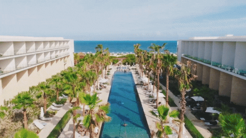 Costa Mujeres GIF by PalladiumHotelGroup