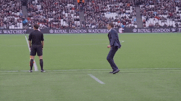 happy west ham GIF by West Ham United