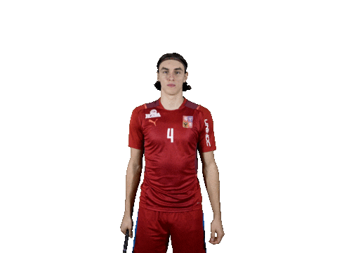 Florbal 2022 Sticker by Český florbal