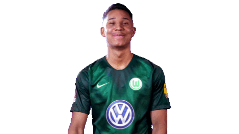 Well Done Good Job Sticker by VfL Wolfsburg
