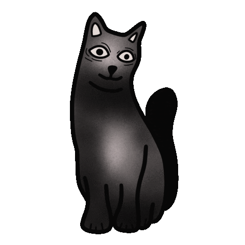Themeri giphyupload cat black animal Sticker