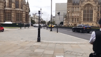 Armed Police Surround Car That Crashed Near Houses of Parliament