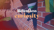GIF by University of Florida College of Education