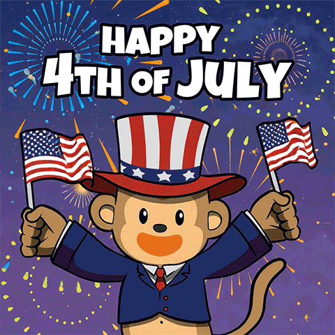 Happy Usa GIF by Wise Monkey Meme