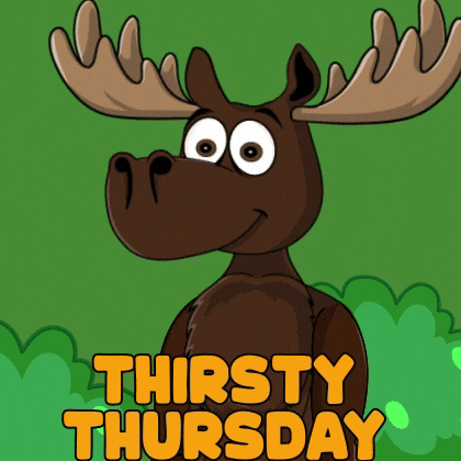 DoYouMoose drink water nft drinking GIF