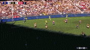 2018 season football GIF by AFL