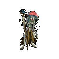 Conquista-Tcg Sticker