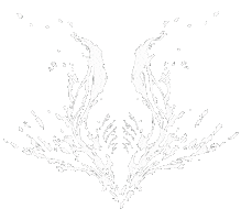 Loop Cult Sticker by Xbox