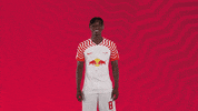 Happy Oh Yeah GIF by RB Leipzig