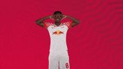 Oh Yeah Smile GIF by RB Leipzig