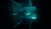Formula 1 Sport GIF by Mercedes-AMG Petronas Formula One Team